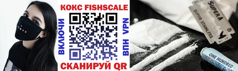 КОКАИН FishScale  цены наркотик  Нязепетровск 
