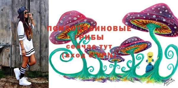 молекула духа Пролетарск