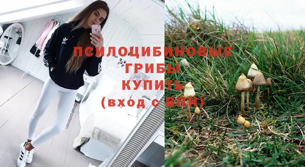 мдпв Баксан