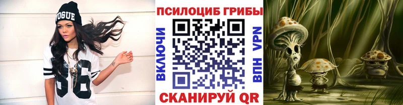 Галлюциногенные грибы Psilocybe  купить наркотики сайты  ссылка на мегу как зайти  Нязепетровск 